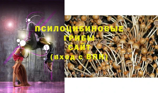 спайс Абдулино