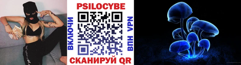 Псилоцибиновые грибы мухоморы OMG как войти Новосибирск
